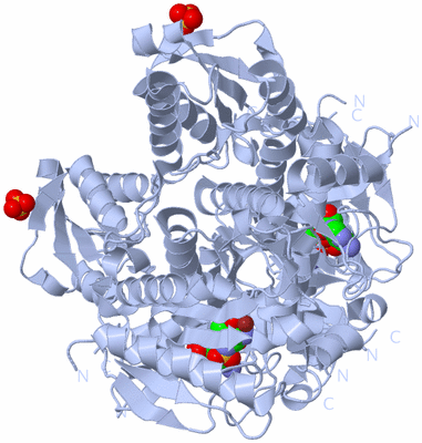 Image Biological Unit 1