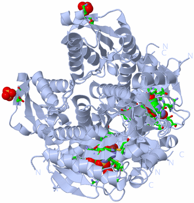 Image Biol. Unit 1 - sites