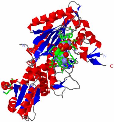 Image Asym. Unit - sites