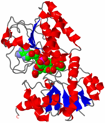 Image Asym./Biol. Unit