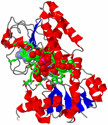 Image Asym./Biol. Unit - sites