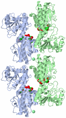 Image Biological Unit 3