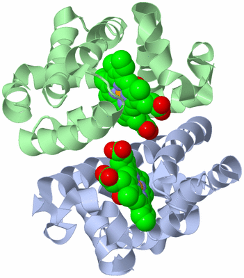 Image Biological Unit 1