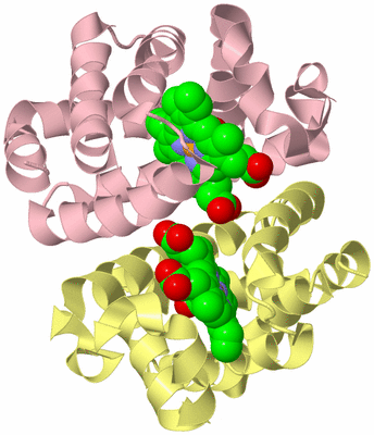 Image Biological Unit 2