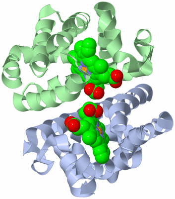 Image Biological Unit 1