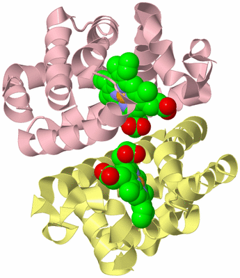 Image Biological Unit 2