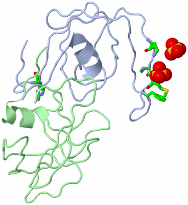 Image Biol. Unit 1 - sites