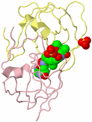 Image Biological Unit 2