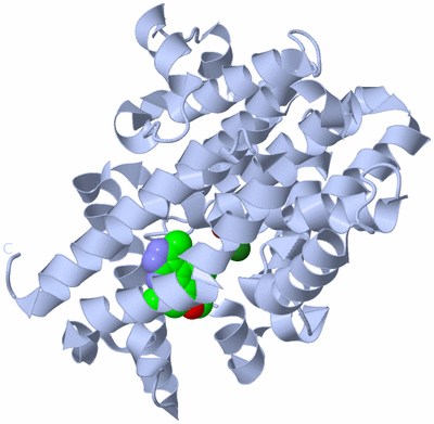 Image Biological Unit 1