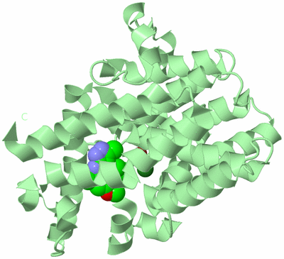 Image Biological Unit 2