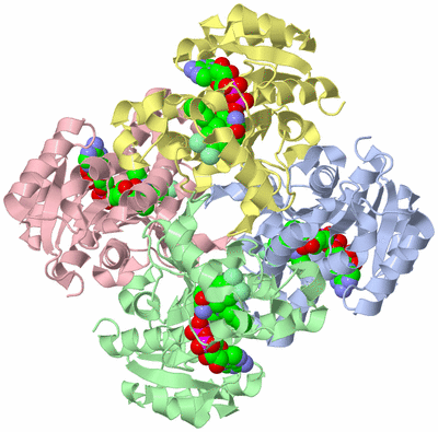 Image Biological Unit 1