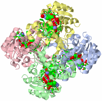 Image Biol. Unit 1 - sites