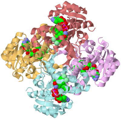 Image Biological Unit 2