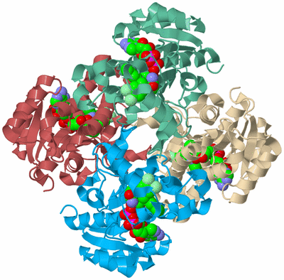 Image Biological Unit 3