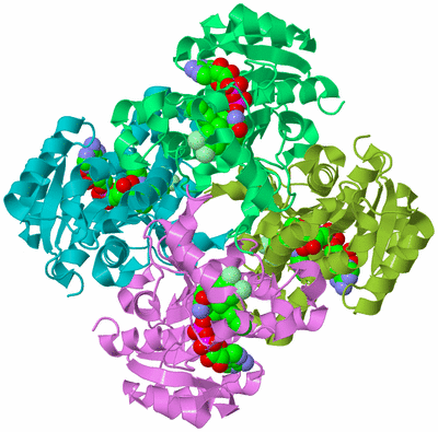 Image Biological Unit 4