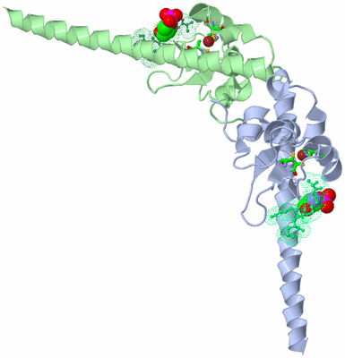 Image Asym./Biol. Unit - sites