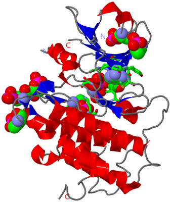 Image Asym./Biol. Unit - sites