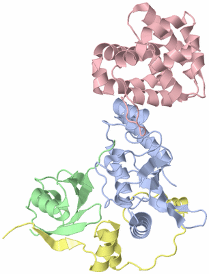 Image Asym./Biol. Unit