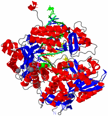 Image Asym./Biol. Unit