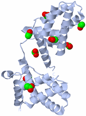 Image Biological Unit 1