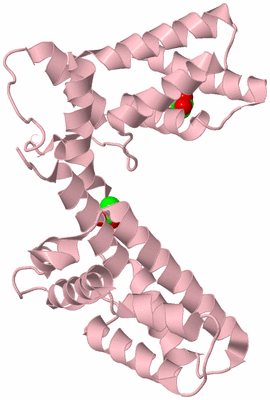 Image Biological Unit 3