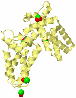 Image Biological Unit 4