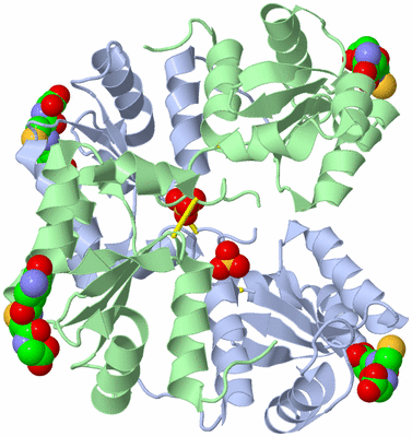 Image Biological Unit 3