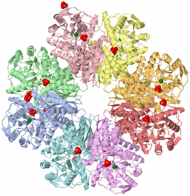 Image Asym./Biol. Unit