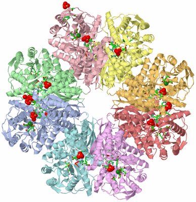 Image Asym./Biol. Unit - sites