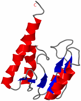 Image Asymmetric Unit