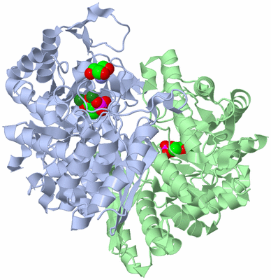 Image Asym./Biol. Unit