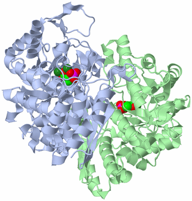 Image Asym./Biol. Unit