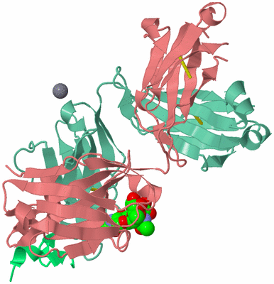 Image Asym./Biol. Unit