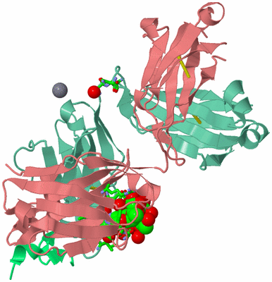 Image Asym./Biol. Unit - sites