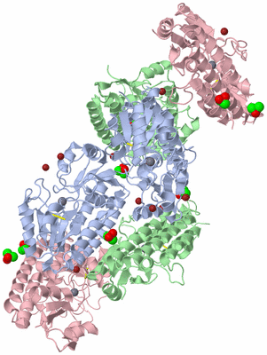 Image Biological Unit 1