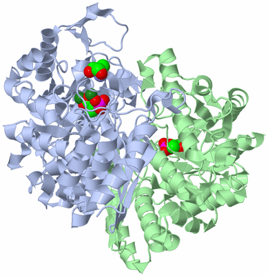 Image Asym./Biol. Unit