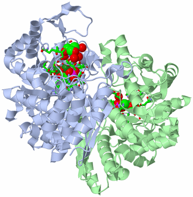 Image Asym./Biol. Unit - sites