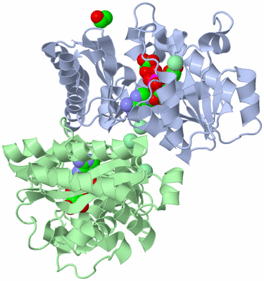 Image Asym./Biol. Unit