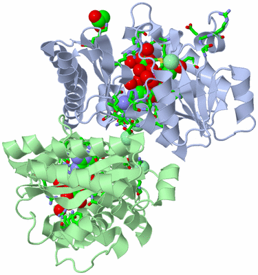 Image Asym./Biol. Unit - sites