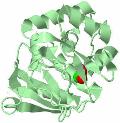 Image Biological Unit 2