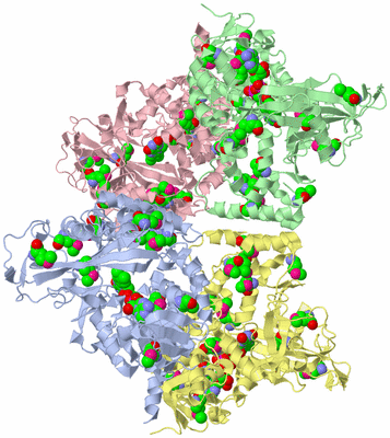 Image Asym./Biol. Unit