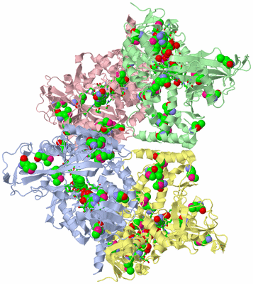 Image Asym./Biol. Unit - sites