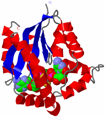 Image Asym./Biol. Unit