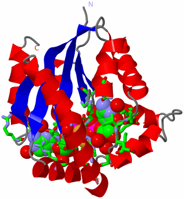 Image Asym./Biol. Unit - sites