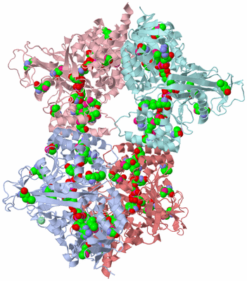 Image Biological Unit 1