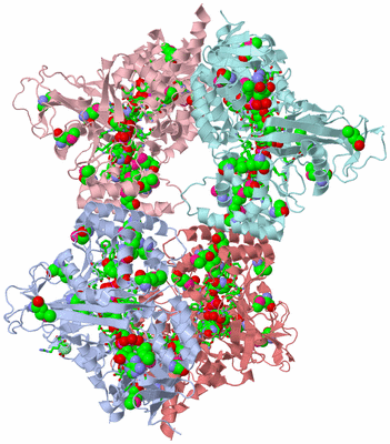 Image Biol. Unit 1 - sites