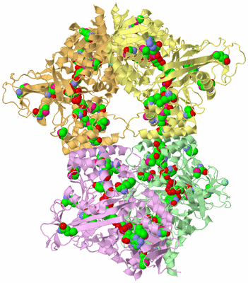 Image Biological Unit 2