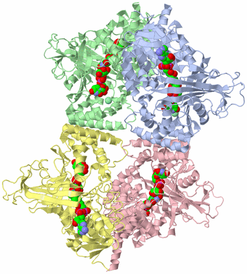 Image Biological Unit 1