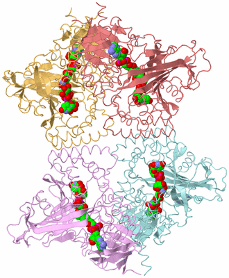 Image Biological Unit 2