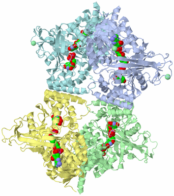 Image Biological Unit 1